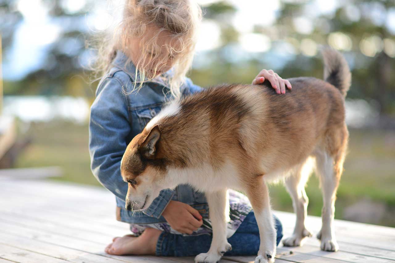 TCM beim Hund - Rückenstreicheln ist gesund